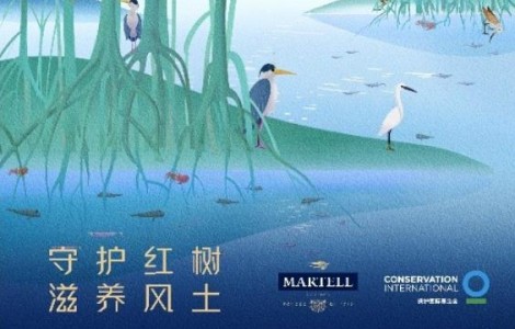 保衛(wèi)地球家園，保樂力加公益一直在行動