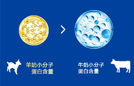 進口奶粉排名前十有哪些品牌？佳貝艾特新悅白吸收低敏營養全！