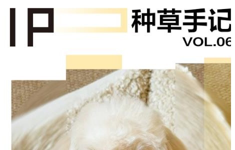 「小貓小狗書」助品牌玩轉亞寵展，精準滲透養寵人群